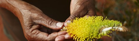 Uluru - egy aboriginal nyomolvasóval