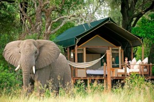 Botswana Stanleys Camp