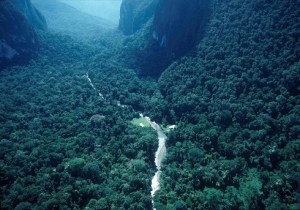 Camp 5, Boreno, Malajzia