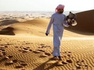 Solymászat Dubai dűnéi között 