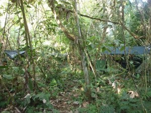 Az egyik alapvető szükséglet: menedék készítése