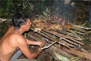 Jungle Survival Training