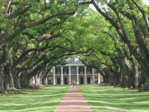 Oak Alley