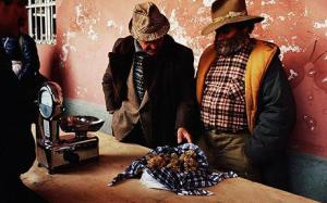 Piac, Alba, Olaszország