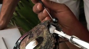 Bora Bora, Tahiti gyöngy