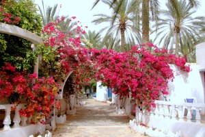 Hotel Le Saharien Douz