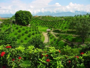 eje_cafeteri_kolumbia_utazas